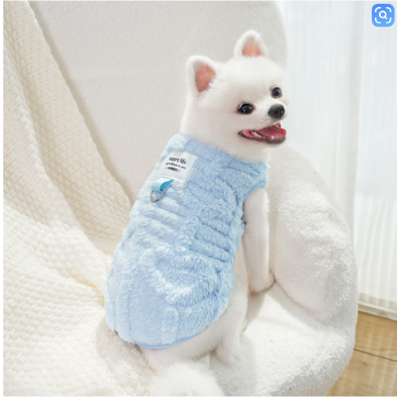 PET CLOTHES 